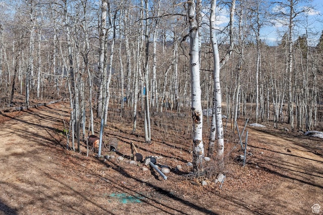 view of nature