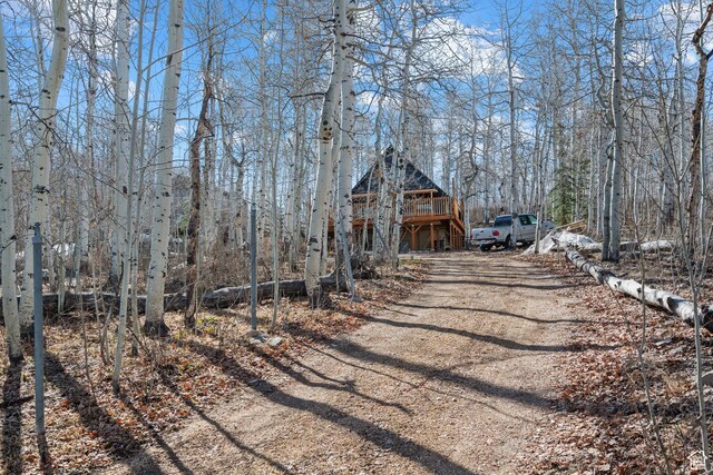 view of dirt / gravel driveway