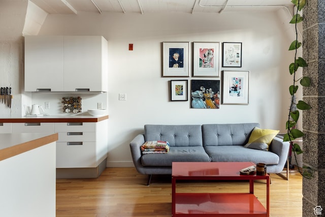living area with light wood finished floors and baseboards