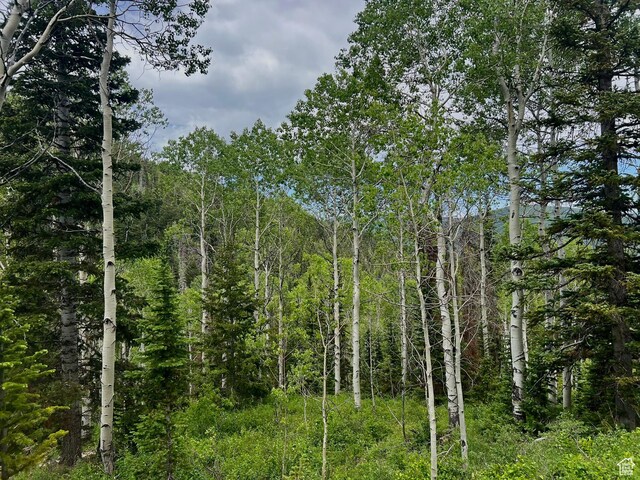 8550 N Uinta Dr Unit 759, Oakley, UT 84055 - photo 2