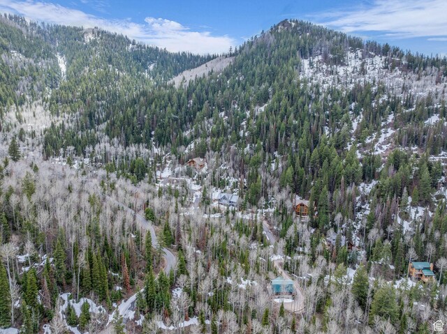 8550 N Uinta Dr Unit 759, Oakley, UT 84055
