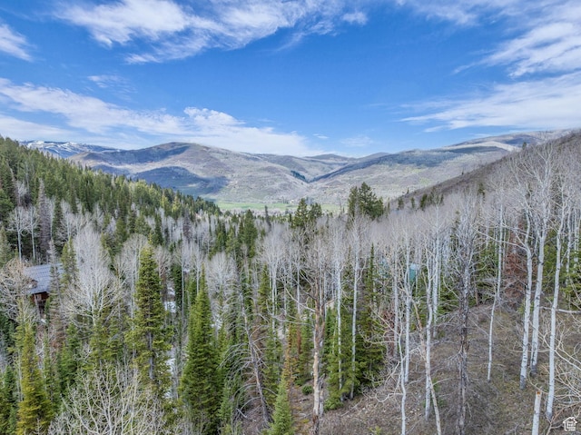8550 N Uinta Dr Unit 759, Oakley, UT 84055