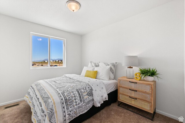 342 N Colonnade Rd Unit 989, Saratoga Springs, UT 84045 - bedroom with carpet flooring and baseboards