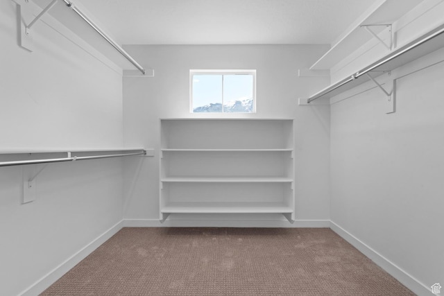 walk in closet with carpet