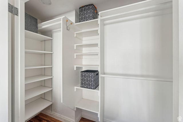 spacious closet featuring wood finished floors