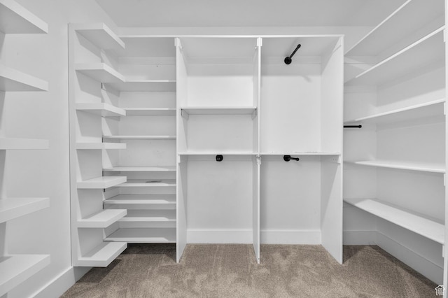 walk in closet featuring carpet floors