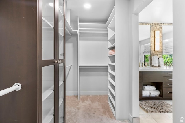 spacious closet featuring carpet floors