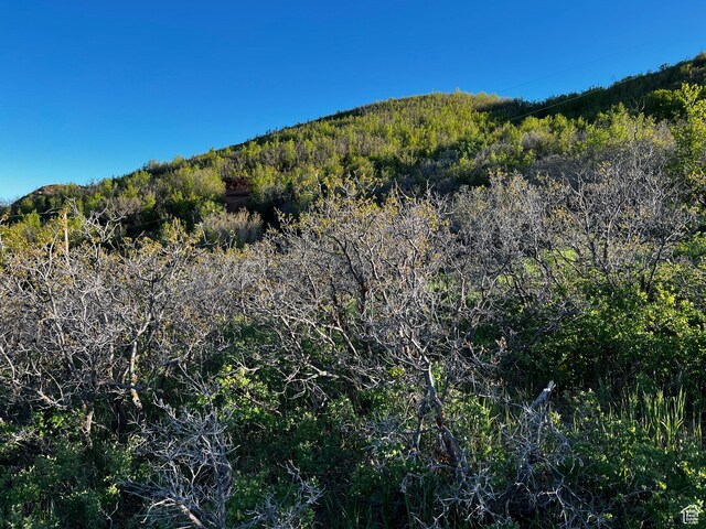 Unit 63, Midway, UT 84049