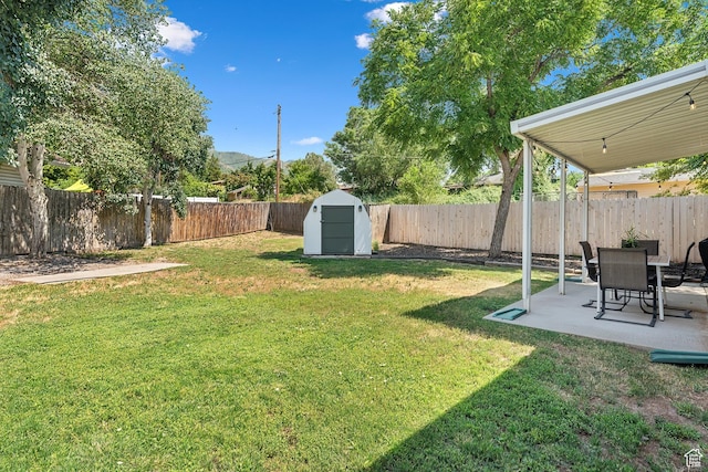 view of yard with a patio area, a shed, and an outdoor structure