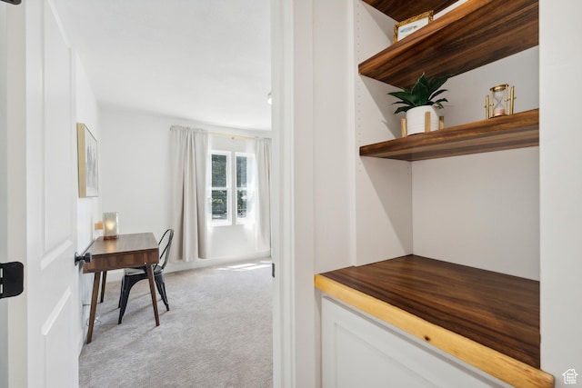 interior space with light colored carpet
