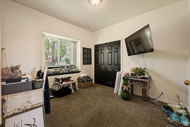1243 E 1450 N, Lehi, UT 84043 - entrance foyer with carpet floors