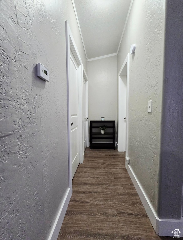 282 S Sheridan St, Stockton, UT 84071 - corridor with dark wood-type flooring, ornamental molding, baseboards, and a textured wall
