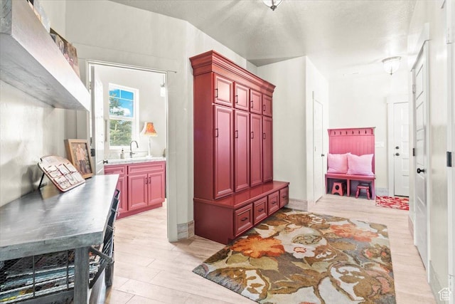mudroom featuring a sink and light wood-style flooring