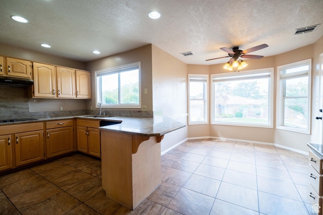 kitchen with a sink, a peninsula, a textured ceiling, under cabinet range hood, and black electric cooktop