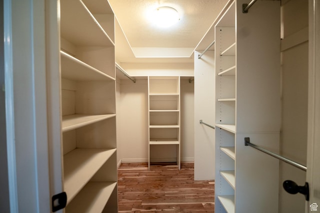 walk in closet featuring dark wood finished floors