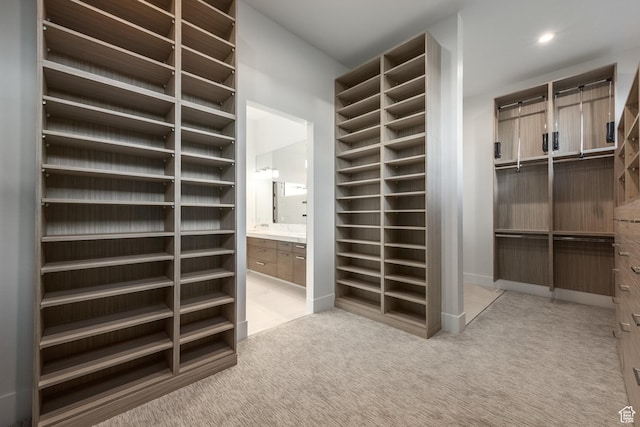 9969 S Altamont Dr E, Sandy, UT 84092 - walk in closet with light colored carpet