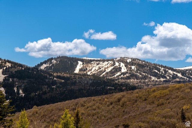 3623 Oakwood Ct, Park City, UT 84060 - view of mountain background featuring a forest
