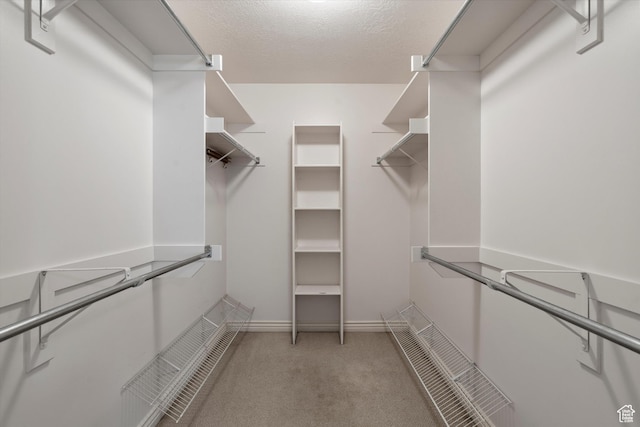 5280 S 1035 E, South Ogden, UT 84403 - spacious closet featuring carpet floors
