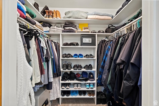 spacious closet with carpet flooring