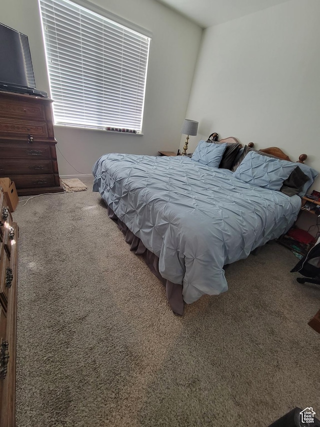 250 W 1200 S Unit 84, Tremonton, UT 84337 - bedroom with carpet