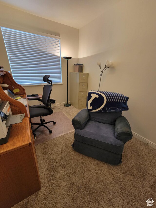 250 W 1200 S Unit 84, Tremonton, UT 84337 - office with carpet and baseboards