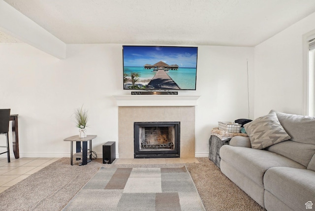 4372 S Wildrose Dr W, West Valley City, UT 84120 - tiled living room featuring a tiled fireplace and baseboards