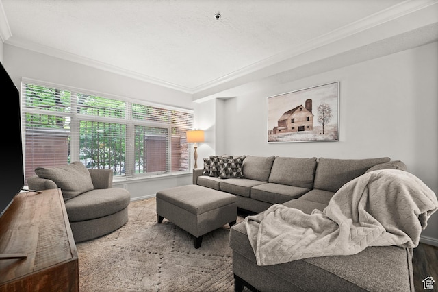 living room featuring crown molding, wood finished floors, and baseboards