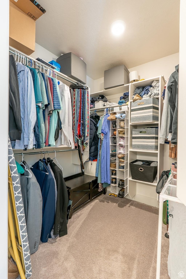 spacious closet featuring carpet flooring