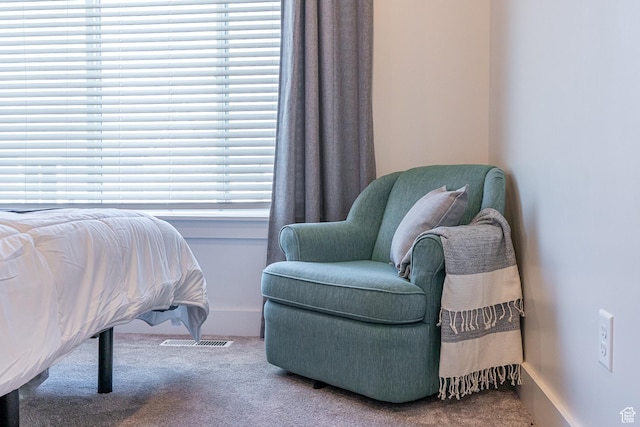 bedroom featuring carpet