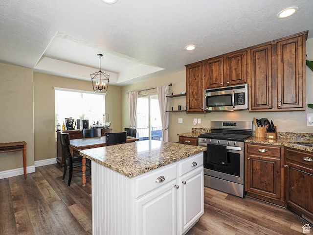 879 W Saddlebrook Dr, Kaysville, UT 84037 - kitchen featuring appliances with stainless steel finishes, a raised ceiling, dark wood-style flooring, white cabinetry, and recessed lighting