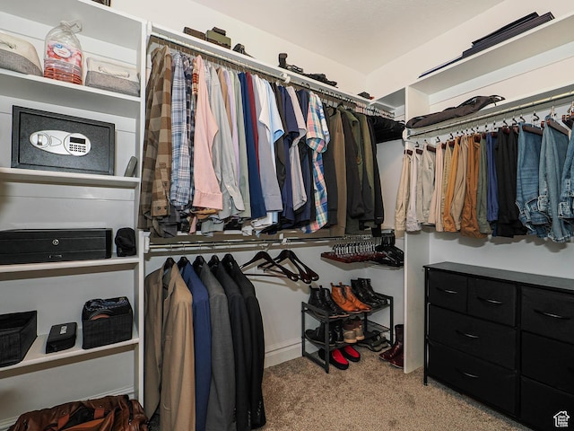 879 W Saddlebrook Dr, Kaysville, UT 84037 - walk in closet with carpet floors