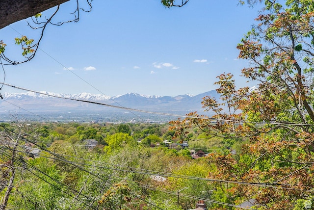 1388 S 1300 E, Salt Lake City, UT 84105 - view of mountain background