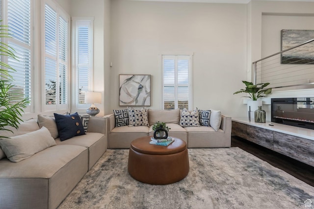 living area featuring wood finished floors