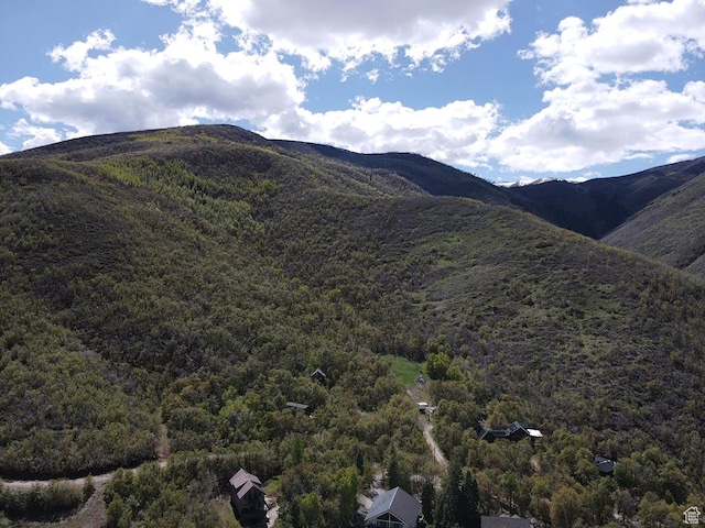 1397 Berrys Way Unit 149, Midway, UT 84049