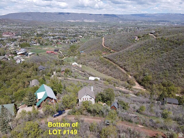 1397 Berrys Way Unit 149, Midway, UT 84049