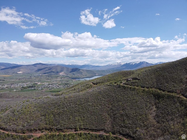 1397 Berrys Way Unit 149, Midway, UT 84049