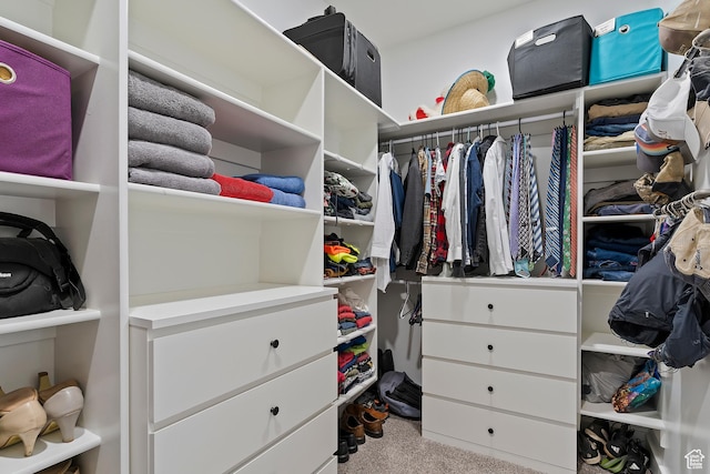 2685 N 850 E, North Ogden, UT 84414 - spacious closet featuring carpet