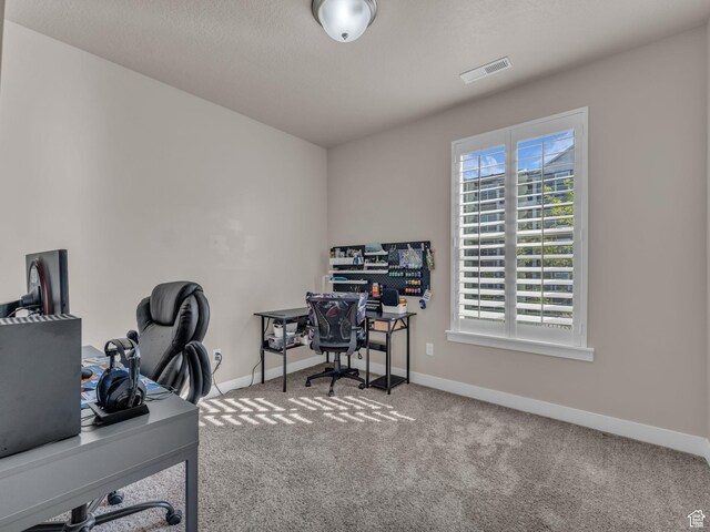 14642 S Mckellen Dr Unit 201, Herriman, UT 84096 - office space featuring healthy amount of natural light, carpet, and baseboards