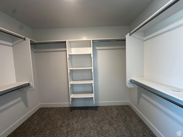 walk in closet with dark colored carpet