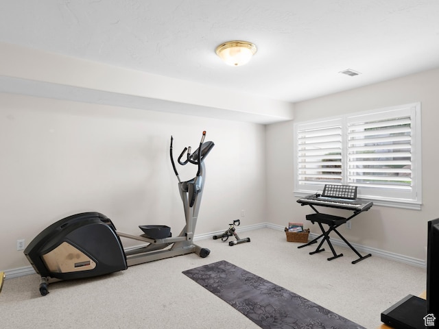 11834 S Cottage View Ln, Draper, UT 84020 - exercise room with carpet and baseboards