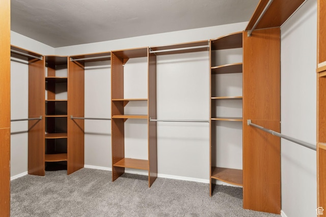 8392 S Oak Vista Dr, West Jordan, UT 84081 - walk in closet with carpet