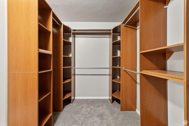 8392 S Oak Vista Dr, West Jordan, UT 84081 - walk in closet featuring carpet flooring