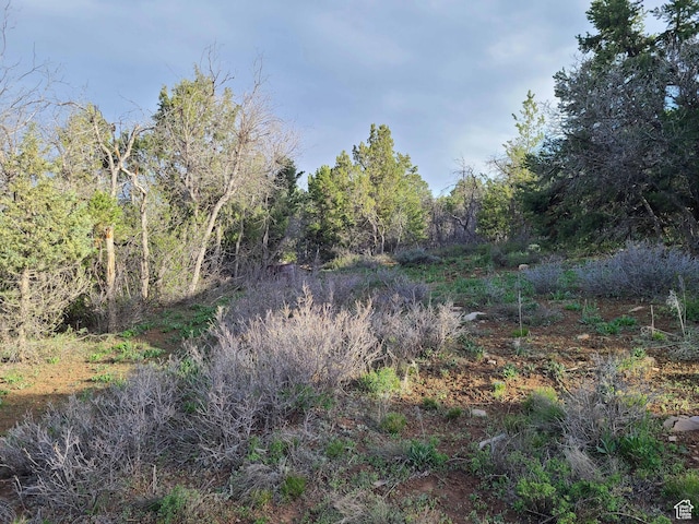 36250 N 10750 E, Indianola, UT 84629