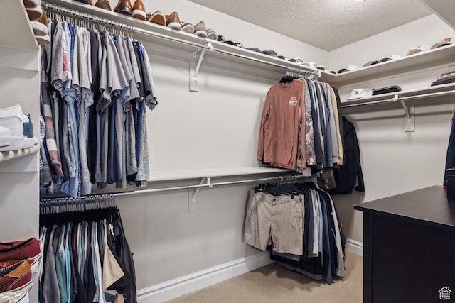 spacious closet with carpet flooring