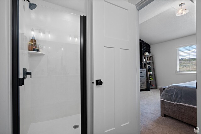 2005 N 4260 W, Lehi, UT 84043 - bedroom featuring carpet flooring, vaulted ceiling, and a textured ceiling