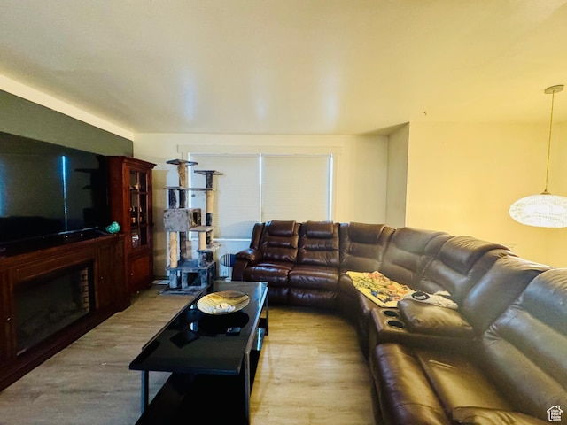 living room featuring wood finished floors