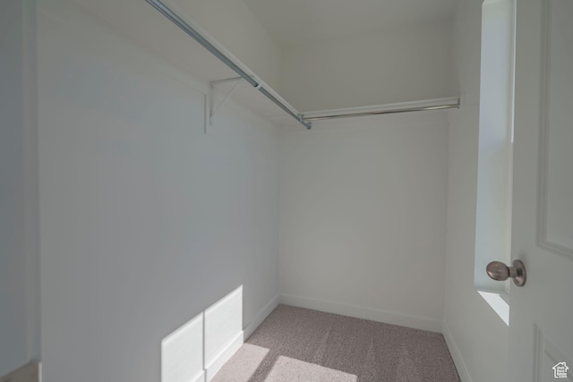 spacious closet featuring light colored carpet