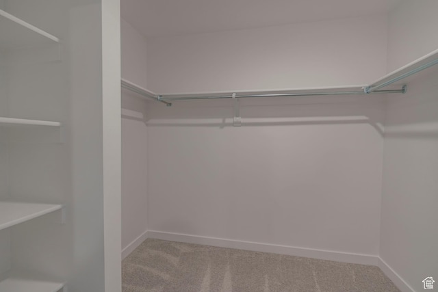 spacious closet featuring carpet
