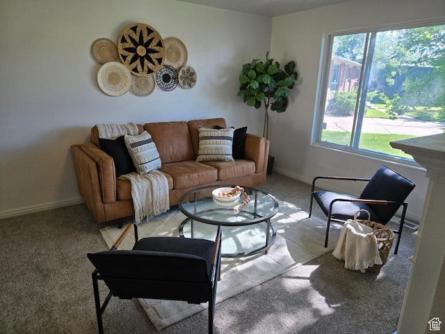 1731 S 145 E, Orem, UT 84058 - living room with carpet and baseboards
