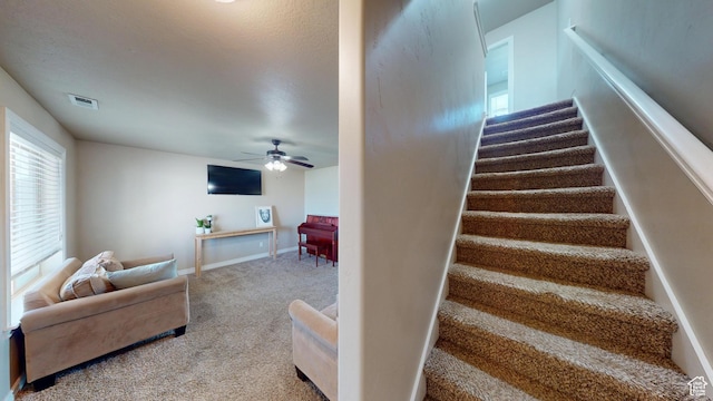 90 W Cedar Ln, Franklin, ID 83237 - staircase with carpet, a ceiling fan, and baseboards